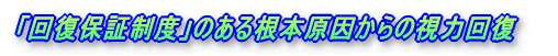�u�񕜕ۏؐ��x�v�̂��鎋�͉�
