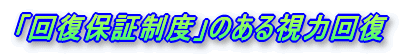 �u�񕜕ۏؐ��x�v�̂��鎋�͉�